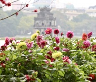 Flowers brighten up Hoan Kiem Lake