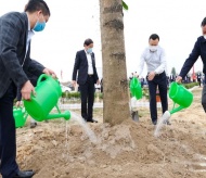 Hanoi responds to program of planting one billion trees