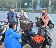 Hanoians join hand to “rescue” Hai Duong’s farm produce 