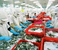 Trade ministry welcomes US decision to revoke anti-dumping charge on shrimps