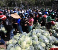 Trade ministry urges clearing hurdles for sales of Hai Duong farm produce