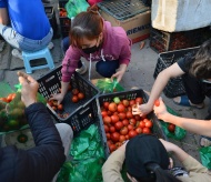 “Rescue” agricultural products from Hai Duong province - kindheartedness arose