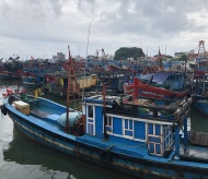 Vietnam puts in place measures to address illegal fishing