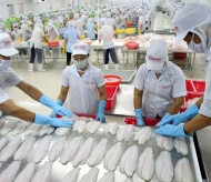 Vietnam seafood exports surpass US$1-billion mark in 2-month