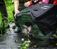 “Going Home” tour provides wildlife releasing for tourists