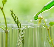 Green Chemistry: A must-do practicality for Vietnam’s sustainable growth