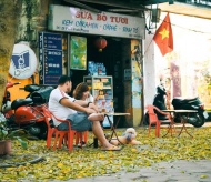 Dracontomelum - a beautiful and “tasty” legacy of Hanoi