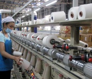 Effective institutional reforms to help Vietnam GDP growth of 6.76%