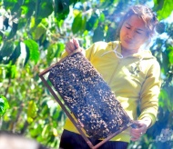 US launches anti-dumping investigation on Vietnam honey imports