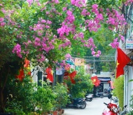 Hanoi streets and alleys tinged with red flag to celebrate the national election