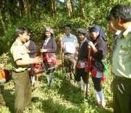 Hanoi makes efforts to protect the city’s 