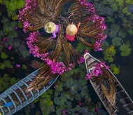 International Photography Award prize given to Vietnam's waterlily harvest photos