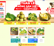 Vietnamese agricultural products sold on e-commerce platform