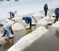 The Diplomat describes salt harvesting scene in Vietnam