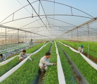 Ministries join hands in promoting sustainable agriculture