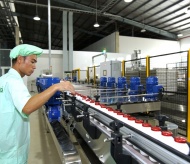 Vietnam firm secures first Push facility in ASEAN