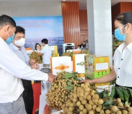 Sale promotion of Vietnamese fresh longan and specialties to int’l consumers