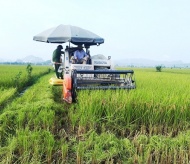 Vietnam set to launch international forum on agricultural digital transformation