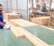 Vietnam’s wood industry strives to extend its reach globally