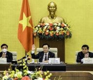 Vietnam works on single Covid-19 response policy