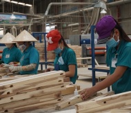 Vietnam reaches agreement with US on illegal timber control