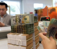 Government bonds reverse Vietnam's dependence on foreign loans