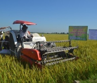 Vietnam's agricultural sector on track to realize export targets