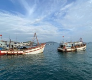 USAID, partners launch US$2.9 million project to protect Mekong Delta's habitat