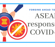 Vietnam initiates ASEAN post-Covid recovery strategy: Carl Thayer