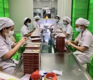 Vietnam's manufacturing output grows again as pandemic subsides