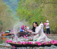 The beauty of water lily season on Hanoi’s outskirts 