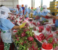 Vietnam veggie exports subject to EU’s new regulations from November 23