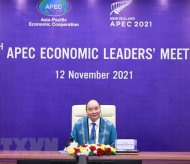 Vietnam calls for APEC members to overcome differences for shared benefits