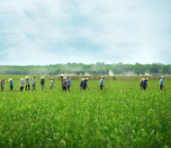 Greening agriculture - opportunity for Vietnam’s growth