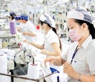 Vietnam considers mobilizing private resources to aid economic recovery efforts