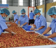 Vietnam's farm exports set to hit record in 2021