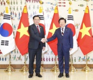 Vietnam asks South Korea to relax ODA conditions 