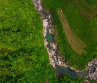 Germany to strengthen biodiversity conservation in Vietnam