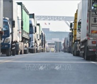 Vietnam Gov’t urges businesses to limit trucks to border gates with China