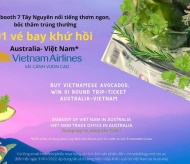 Vietnamese avocados officially sold in Australia