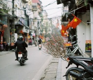 Nine-day break for Vietnamese traditional Lunar New Year of the Tiger