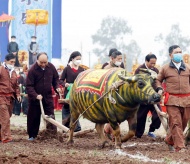 President performs ploughing rituals 