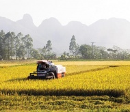 Vietnam targets green and climate-resilient agricultural sector by 2030