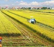 Vietnam announces strategy to become world’s major farm producer by 2030