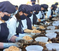 Vietnamese cashew exporters fall victims to international scammers   