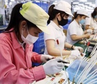 Vietnam's GDP growth hits 5.03% in Q1