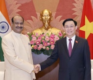 Indian lower house speaker visits Vietnam to enhance strategic relations 