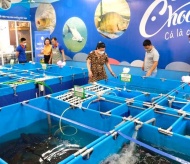 Chocavi safe seafood chain debuts in Hanoi