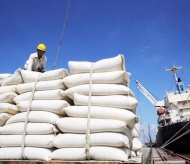 Vietnam rice in race to dominate ASEAN market