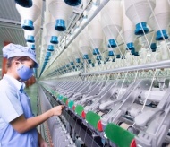 Vietnam's industrial production hits 13-month high